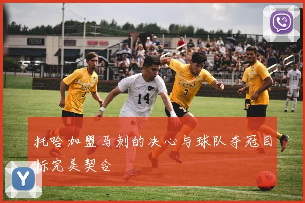 托哈加盟马刺的决心与球队夺冠目标完美契合